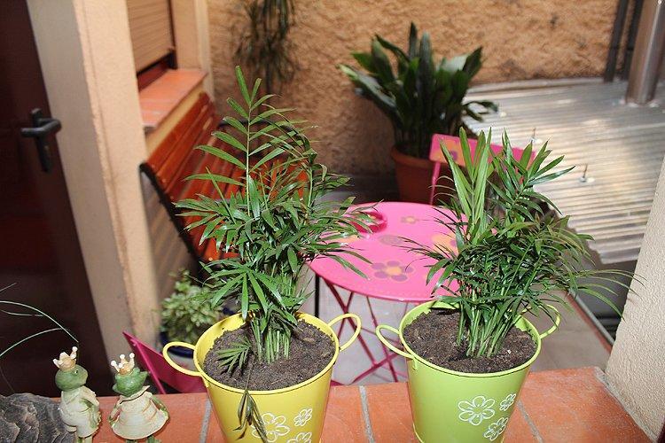 Hostal La Barretina Figueres  Eksteriør billede